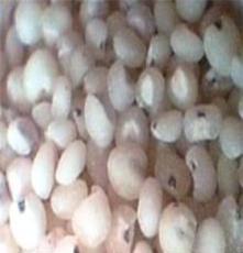 粮米加工厂清仓处理一批优质高粱米 高粱米库存45万斤左右