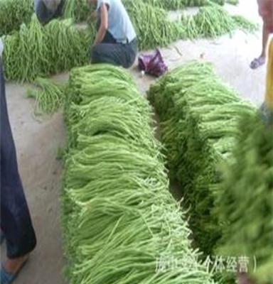 大量供应广西优质早熟豆角豇豆1元一斤