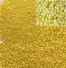健康米养身米绿色天然的金小米庆阳特产西峰什社金小米
