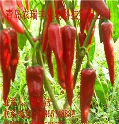 英潮红(图) 色素辣椒种子