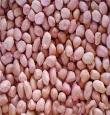 供应传统花生米 出口级花生米 河南花生米