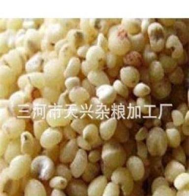 厂家推荐 健康食品 杂粮 加工供应高粱米