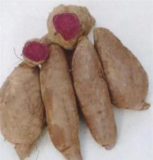 批发有机新鲜紫薯 成都红薯生态种植基地种植 安全无污染放心食用