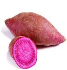 有机紫薯 脱毒紫薯 自主研发种植无施肥打药无除草剂 紫光农业