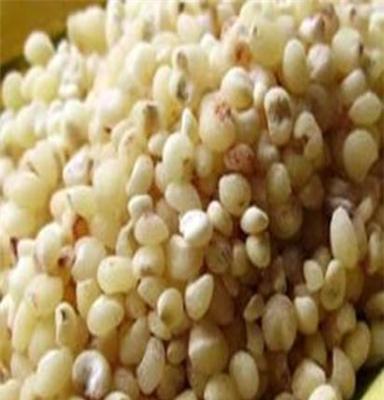 东北优质高粱米 农家生产 天然纯正