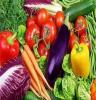 90%的人都未知绿色蔬菜的正确吃法