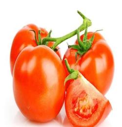 苏州蔬菜种植配送专家苏州润汇农业，生产的西红柿
