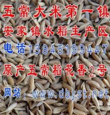 纯正宗五常大米核心产区种植的水稻原粮五常稻花香2号水稻