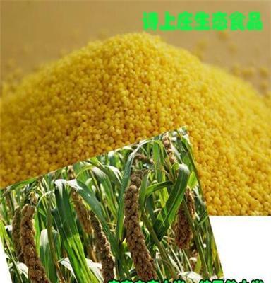 黄色小米∕原生态小米∕产地直接发货∕精品小米∕省内包邮