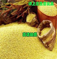 食用小米∕产地直接发货∕生态小米∕10斤包邮∕原生态新鲜小米