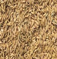 优质大米批发 优质大米销售 长期厂价直销提供优质大米的厂家