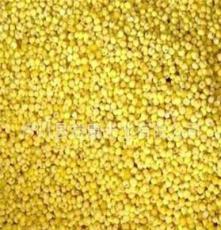 供应优质小米 原生态稻谷 厂家直销 小米批发 富硒有机小米