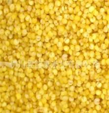 供应优质小米 厂家直销 原生态稻谷 富硒有机小米 小米批发