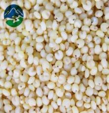 高粱批发 长期供应高粱米 无污染五谷杂粮 高粱仁 原产地直销