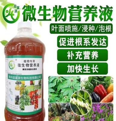 胡萝卜种植栽培操作技术指导方法