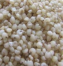 养生熟食杂粮批发高粱米 1级正品高粱米