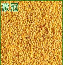 厂家专业提供 特级无公害营养小米 一等有机小米