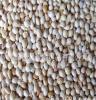 黍子批发 有机优质黍子价格优惠 内蒙古天然超市小米