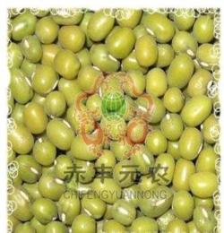 元农杂粮 ：赤峰绿豆 青小豆 东北农家自产有机绿豆