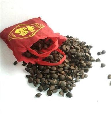 大量批发云南野生特级大瓣子山茶籽（1000吨）颗颗饱满、粒粒野生
