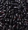 长期批发吉林黑香米、五常黑香米、贵州苡米
