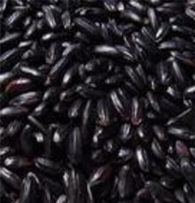 长期批发吉林黑香米、五常黑香米、贵州苡米
