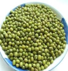 采購豆類，綠豆買賣，緬甸油綠豆批發銷售，長期大量供應東北綠豆