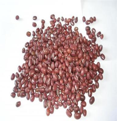 供应底价优质 红小豆 芸豆 等豆类。