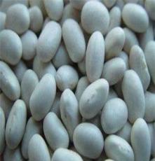 供应底价优质 东北芸豆 白沙克 西白 中白 海军白等豆类。