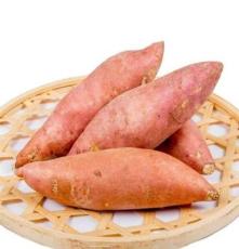 湛江无公害优质西瓜红红薯批发 新鲜西瓜红红薯