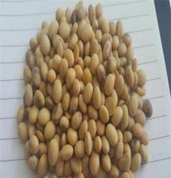供应进口大豆 乌克兰大豆 批发 非转基因大豆
