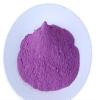 常年供应纯正的紫薯粉