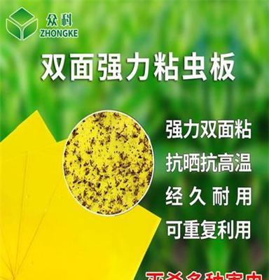 众科 双面诱虫板粘虫板 黄板纸 贴灭小飞虫杀沾果蝇大棚防虫