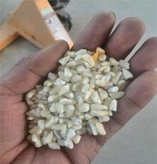 白粘玉米碴（糝，渣）東北雜糧 廠家直供 特種玉米 粗糧精品