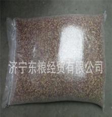 东粮经贸销售各种豇豆籽 豇豆籽 红豇豆种子