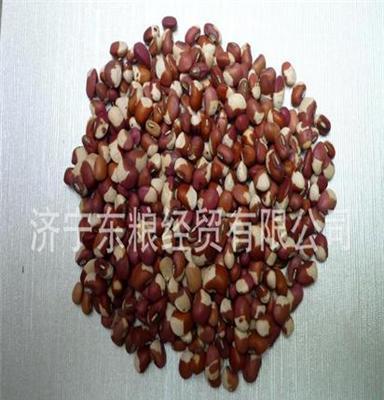 广东厂家直销高质量豇豆种子 豇豆