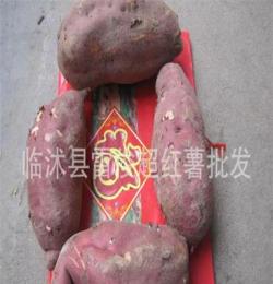 烘烤形红薯，地瓜，适应各种烘烤加工，产地山东临沂