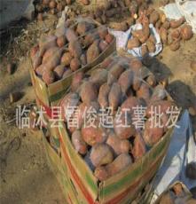 大量供应各种红薯地瓜种子