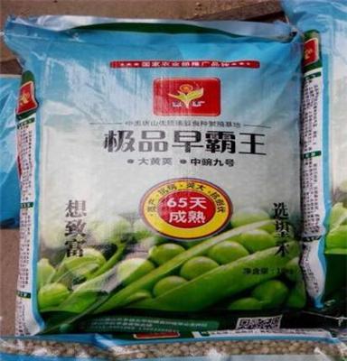 供应豌豆种子 改良中豌四六号 极品早霸王 蔬菜种子 甜豌豆种
