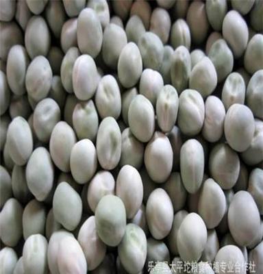 按需生产豌豆 青豌豆 白豌豆 进口豌豆