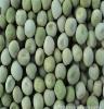 大量供应新优质国产青（绿）豌豆种子（中豌5号、中豌6号）