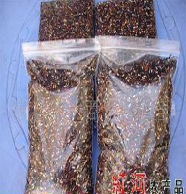 越南芽胚紫米
