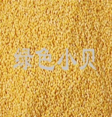 （企事业单位、学校、政府、机关）配送批发 粮油批发 杂粮黄米