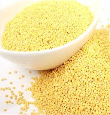 东北特产小米有机小米 绿色小米营养补品！小米 小黄米