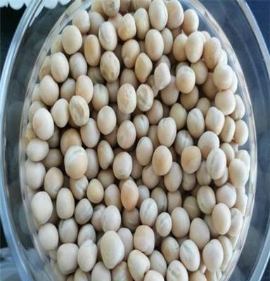 供应直销加工筛选进口豌豆