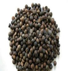 供应优质油茶籽