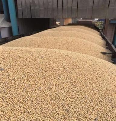 美湾 美西 乌拉圭 巴西 阿根廷 进口大豆过筛毛粮价格
