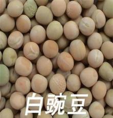 厂家直销 供应 优质 豌豆 老申坊高品质白豌豆 欢迎选购