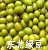 厂家直销 东北 优质 绿豆 绿色食品 有机绿豆 健康有机杂粮