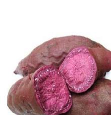 四川 成都紫薯厂家长年供应新鲜紫薯 全紫薯 紫红薯 诚招批发代理